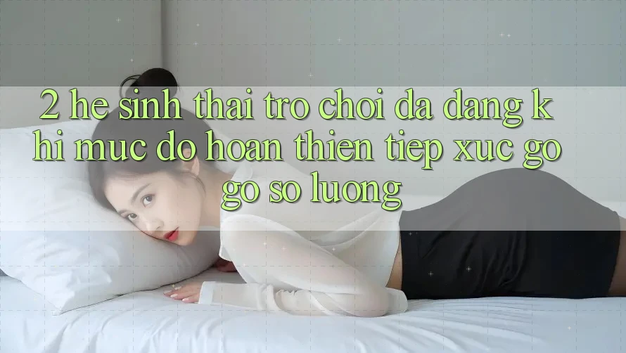 2. Hệ Sinh Thái Trò Chơi Đa Dạng: Khi Mức độ hoàn thiện Tiếp xúc gỡ Gỡ Số Lượng