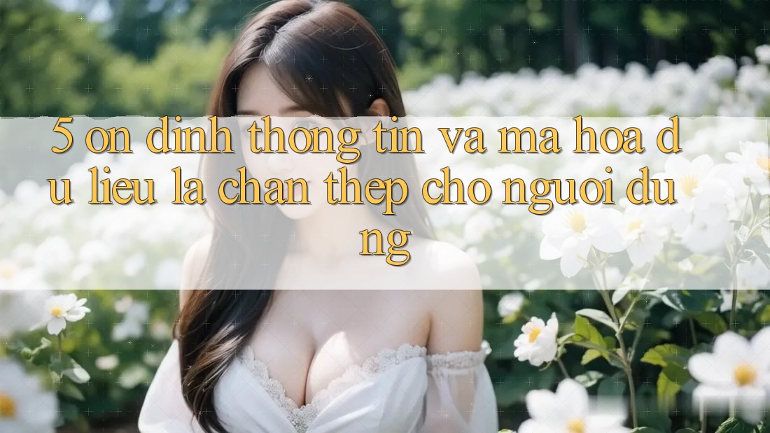 5. Ổn định Thông Tin Và Mã hóa dữ liệu: Lá Chắn Thép Cho Người dùng 5. Ổn định Thông Tin Và Mã hóa dữ liệu: Lá Chắn Thép Cho Người dùng