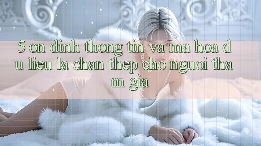 5. Ổn định Thông Tin Và Mã hóa dữ liệu: Lá Chắn Thép Cho Người tham gia