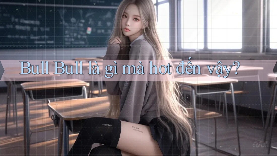 Bull Bull là gì mà hot đến vậy?